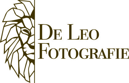 Hochzeit in Reutlingen Brautkleid Hochzeitsfotograf Reutlingen Albstadt Metzingen Balingen Stuttgart Pärchenfotos Zollernalbkreis Bodensee